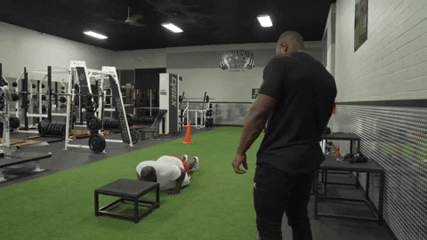 Training to lose 100 pounds with Mike Rashid