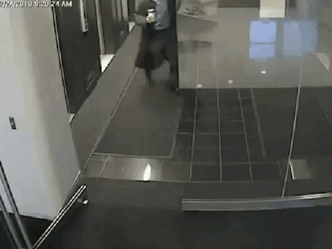 Glass Door Fail GIF - Find & Share on GIPHY