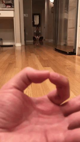 giphy.gif