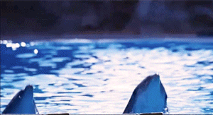 Hitchhiker's Guide to the Galaxy dolphin gif