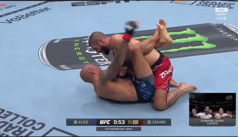 giphy.gif