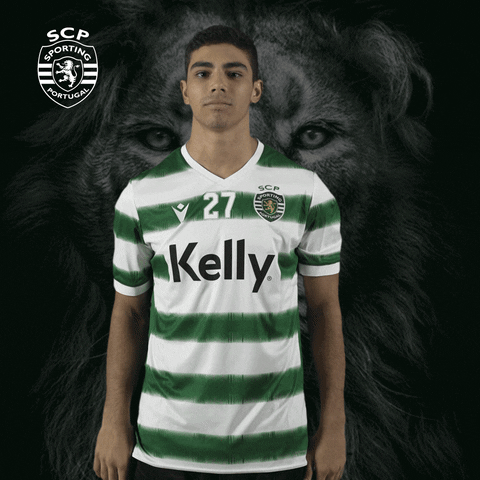 Andebol GIF by Sporting CP