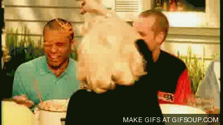 giphy.gif