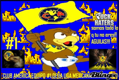 Picture America GIF - Find & Share on GIPHY