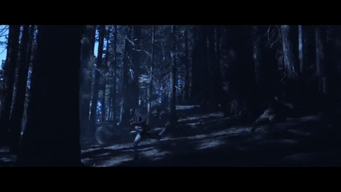 None animated GIF