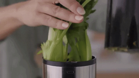Juicer Juicing GIF by BuzzFeed - Find & Share on GIPHY