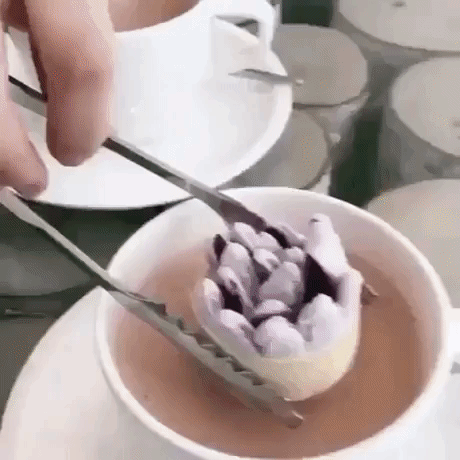 Marshmallow flower in hot chocolate in random gifs