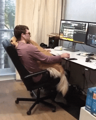 This is life in funny gifs