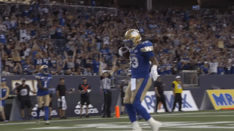 Image result for blue bombers gif