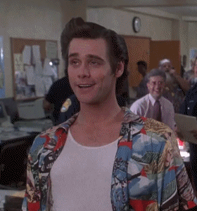 Image result for ace ventura gif