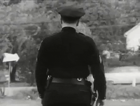 WTF moment for cop in funny gifs