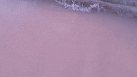 Beach GIF