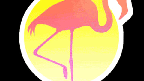 chill still flamingo yt