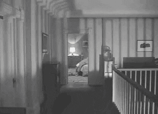giphy.gif