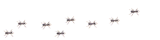 ผลการค้นหารูปภาพสำหรับ GIF ANT