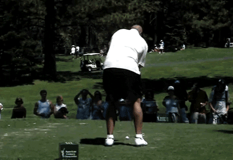Golf Win GIF Find Share on GIPHY