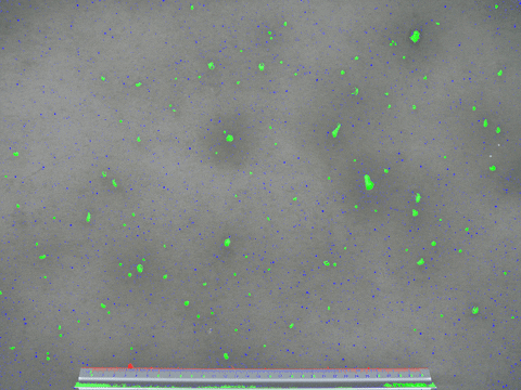 aesthetic gif find amp share on giphy aesthetic gif find amp share on giphy