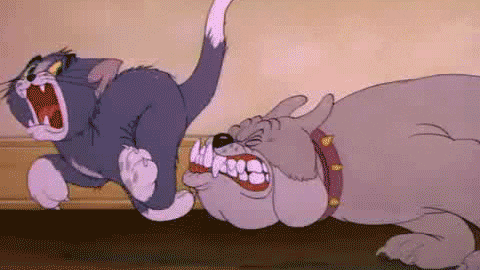 Tom Jerry GIFs - Find & Share on GIPHY