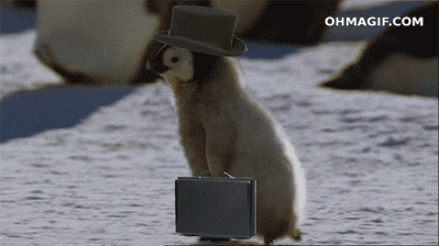 baby penguin wearing a hat and holding a briefcase running in the snow