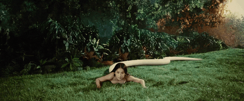 https://media.giphy.com/media/thN22qC5ydNDO/giphy.gif