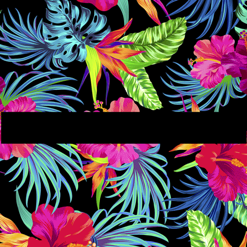 Shorts Bikinis GIF by Bali Beach Clothes Find & Share on GIPHY