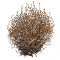large tumbleweed gif