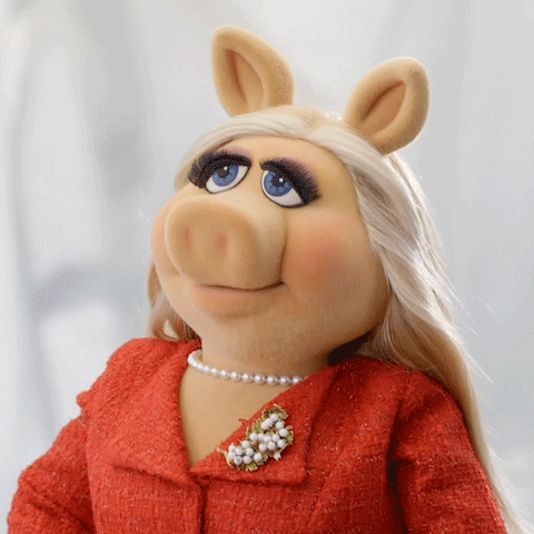Miss Business Piggy 