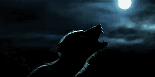 full moon wolf howl