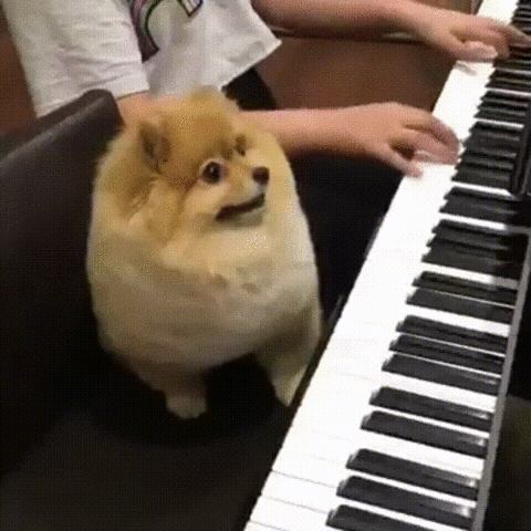https://media.giphy.com/media/tnab9EBAvnb3y/giphy.gif