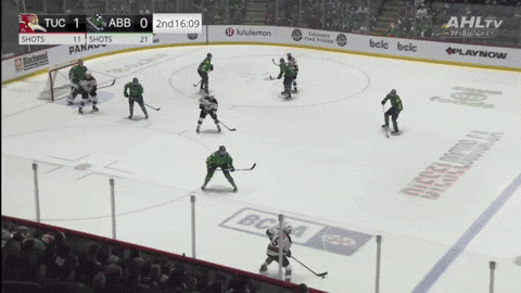 giphy.gif