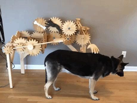Automatic dog petter in funny gifs