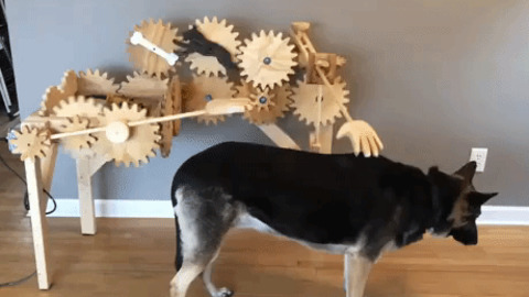 Automatic dog petter