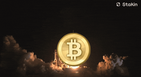 Criptomoeda Bitcoin é diferente do Real Digital.
