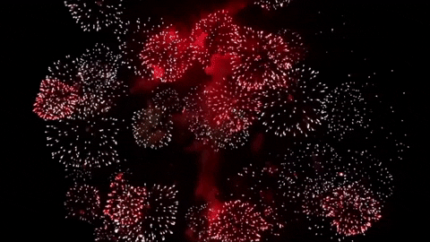 Happy New Year GIF by Robert E Blackmon - Find & Share on GIPHY