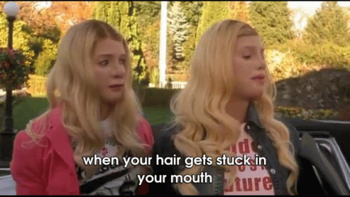 Whitechicks GIFs - Find & Share on GIPHY