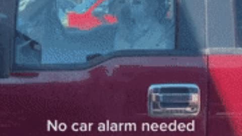 No car alarm needed