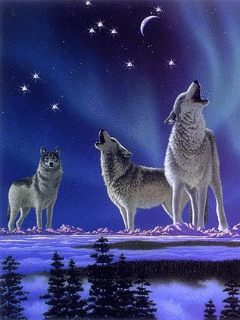 The Instinctive Center it is a pictures of wolfs.