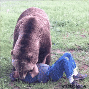 Grizzly Bear Hug GIF - Find & Share on GIPHY