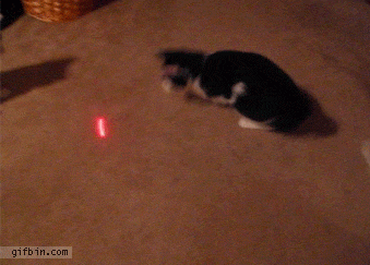 Laser GIF - Find  Share on GIPHY