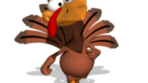 Turkey GIF - Find & Share on GIPHY