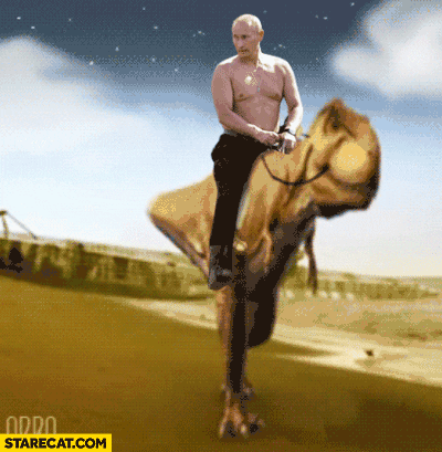 Riding GIF - Find & Share on GIPHY
