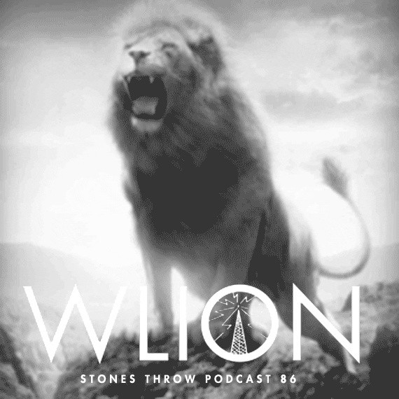 Lions GIF Find & Share on GIPHY