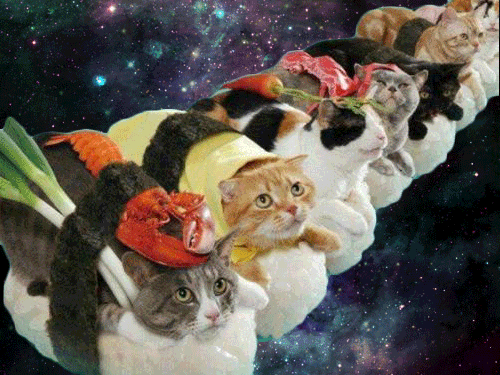 Space Cat Love GIF - Find & Share on GIPHY