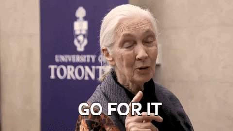 Go For It Uoftartsci GIF by U of T Faculty of Arts & Science - Find & Share on GIPHY