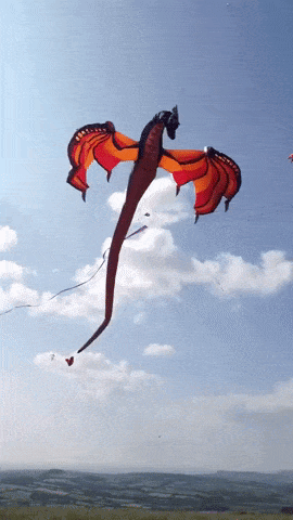 Coolest kite ever in random gifs
