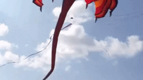 Coolest kite ever gif