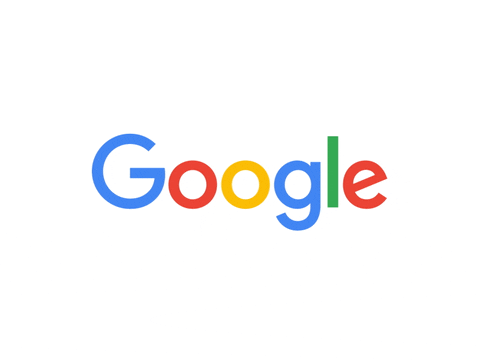 google system brand
