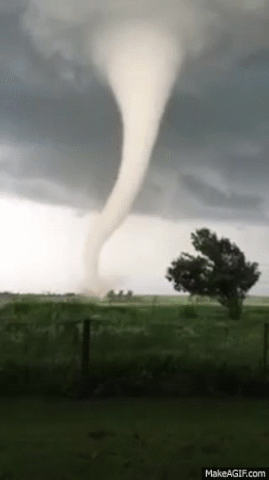 Tornado GIF - Find & Share on GIPHY