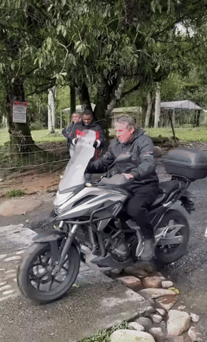 giphy.gif