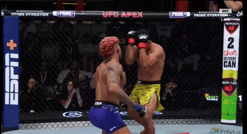 giphy.gif